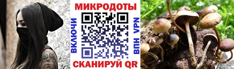 Галлюциногенные грибы Psilocybine cubensis  Кировск 